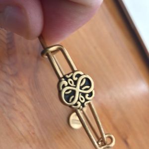 Alex and Ani bracket with 2 charms - see details